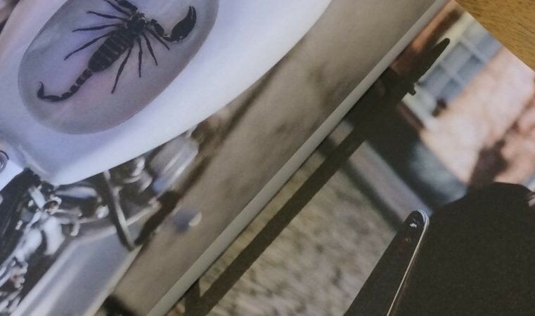 The latest issue of 13 1/2 Magazine is here!!!