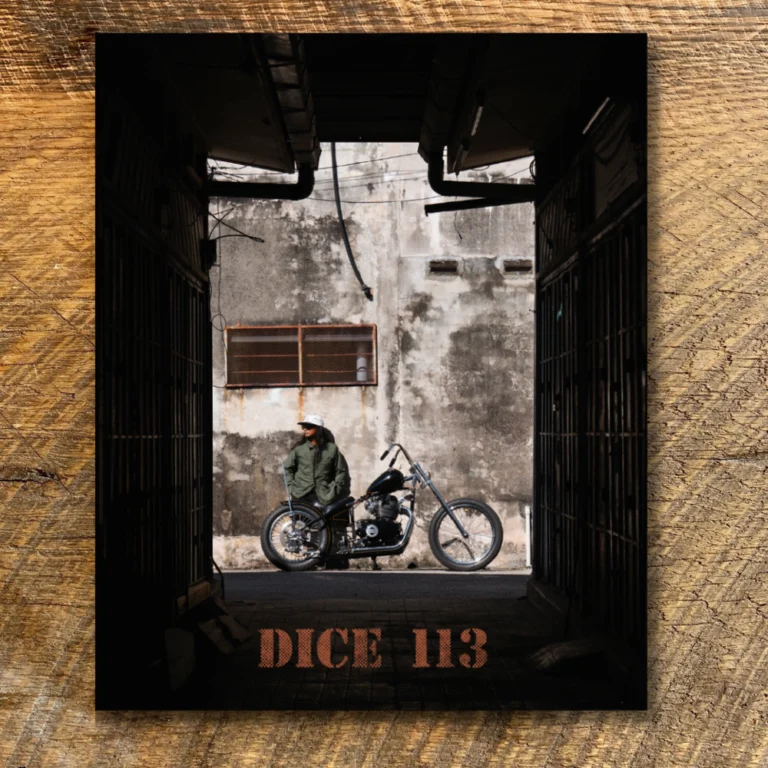 Dice magazine #113